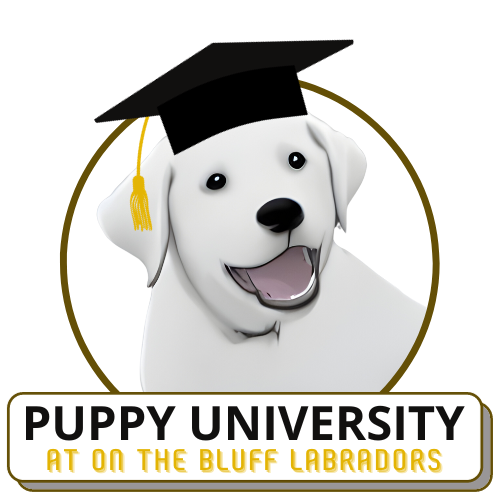 logo_square Puppy University Logo